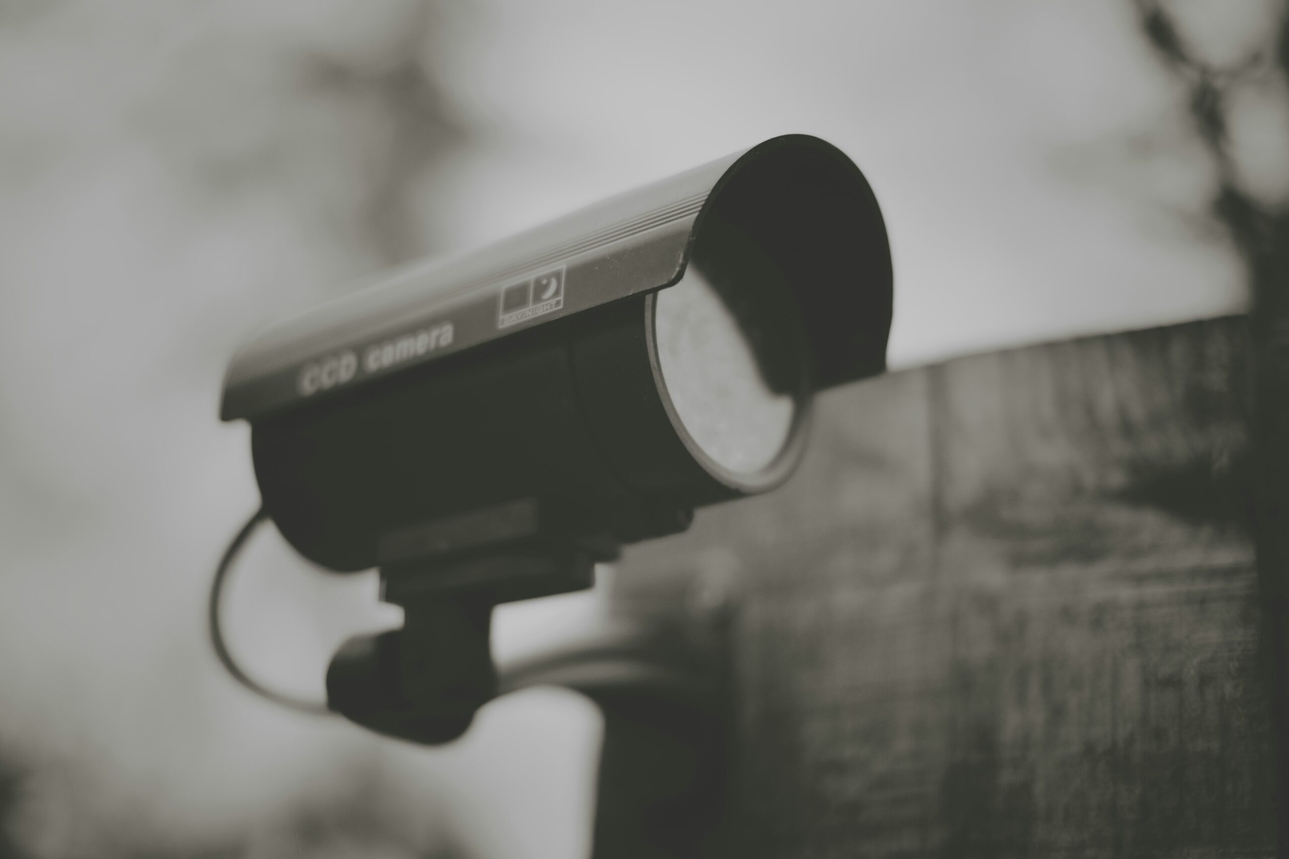 joe gadd dylsnf8hnho unsplash